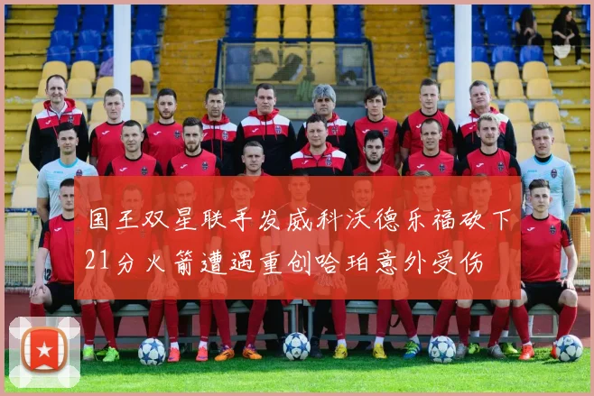 国王双星联手发威科沃德乐福砍下21分火箭遭遇重创哈珀意外受伤