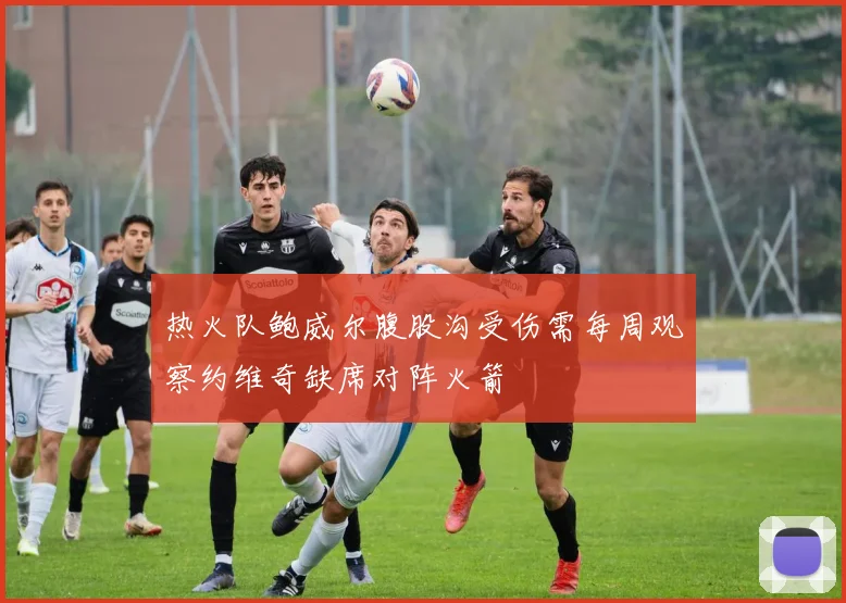 热火队鲍威尔腹股沟受伤需每周观察约维奇缺席对阵火箭