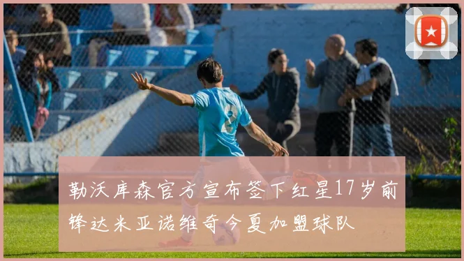 勒沃库森官方宣布签下红星17岁前锋达米亚诺维奇今夏加盟球队